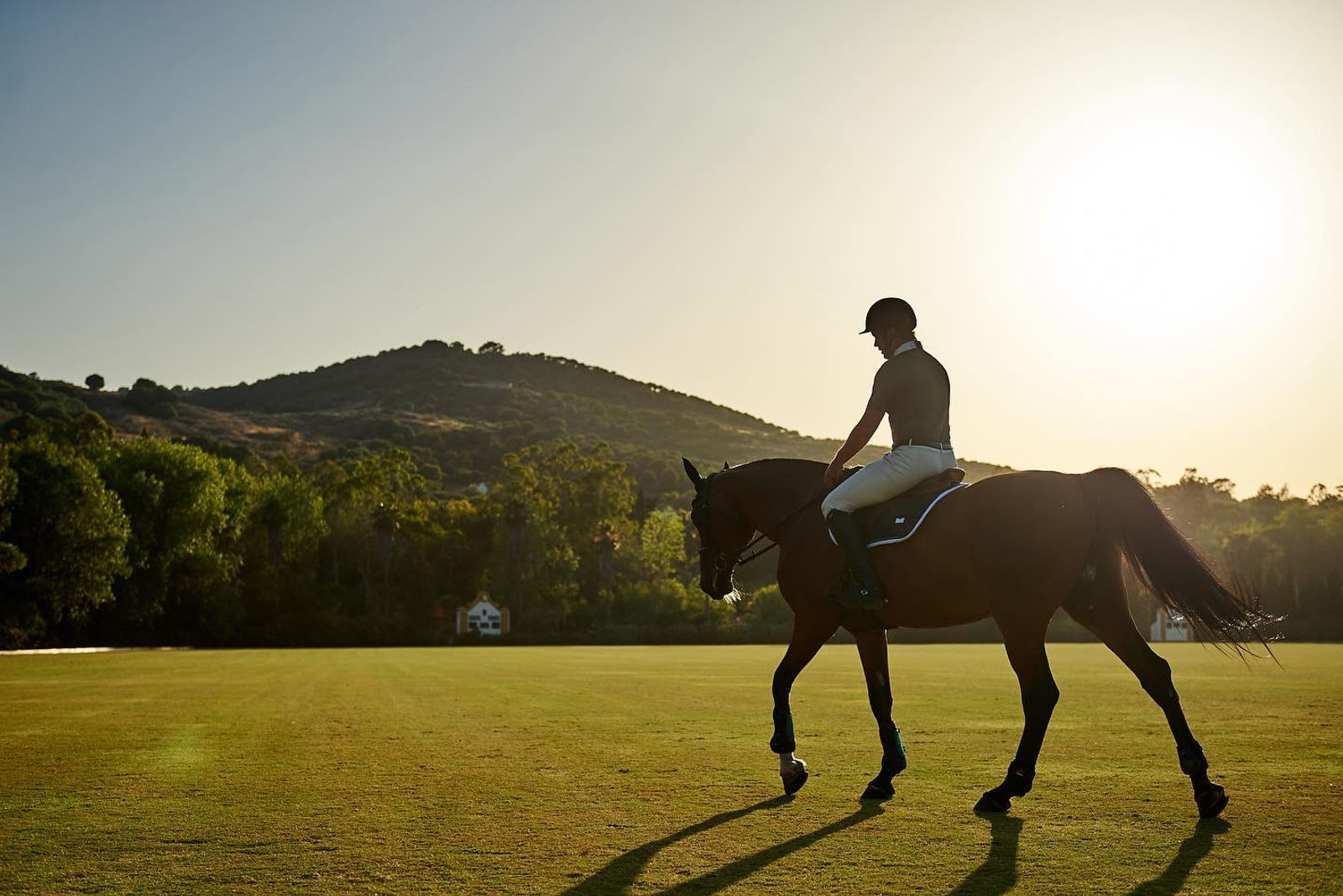 Horse Riding